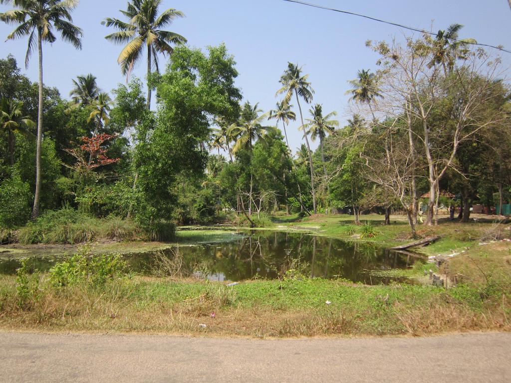 Angels' Homestay Marari Mararikulam Extérieur photo